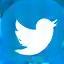 Twitter/X logo